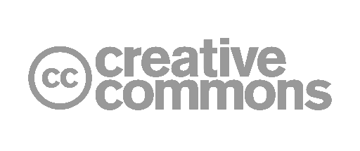 «È terrorismo urbano. Ora il fermo preventivo per isolare i violenti»