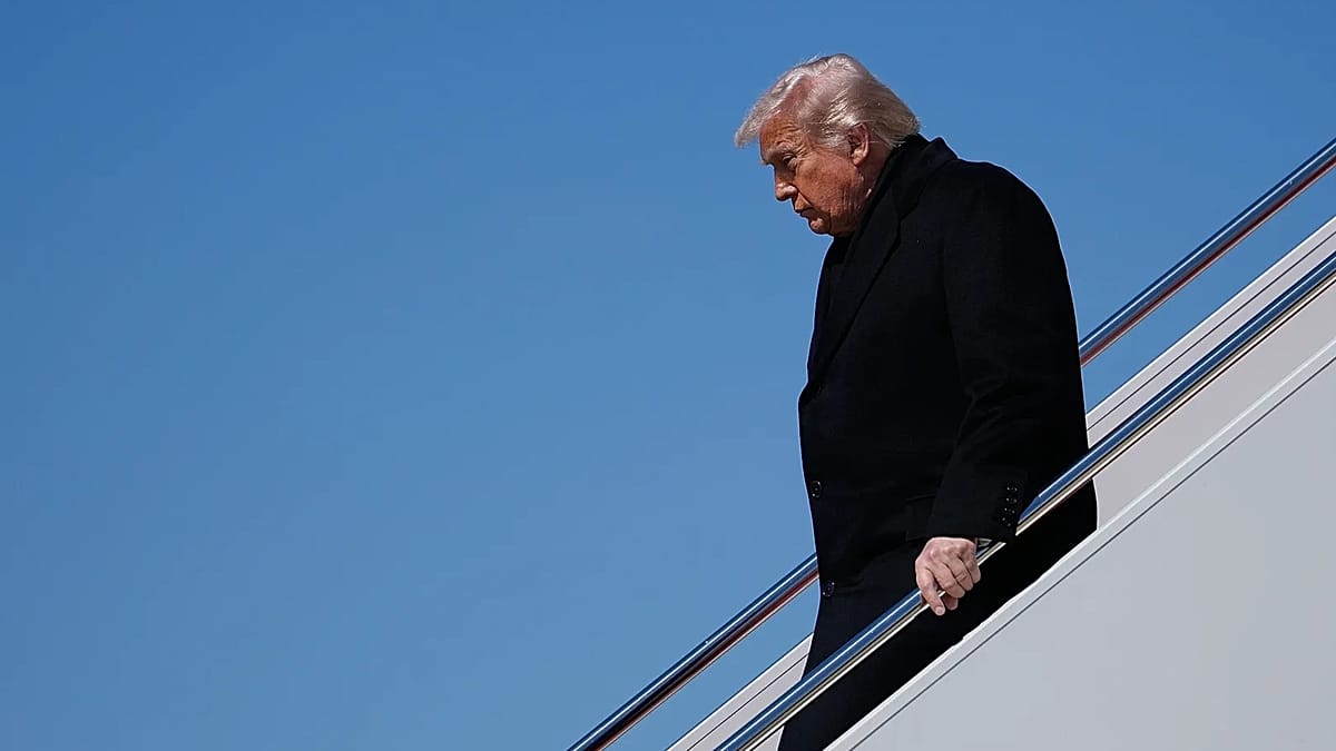 Trump calls NATO allies 'cowards' over refusal to join naval force