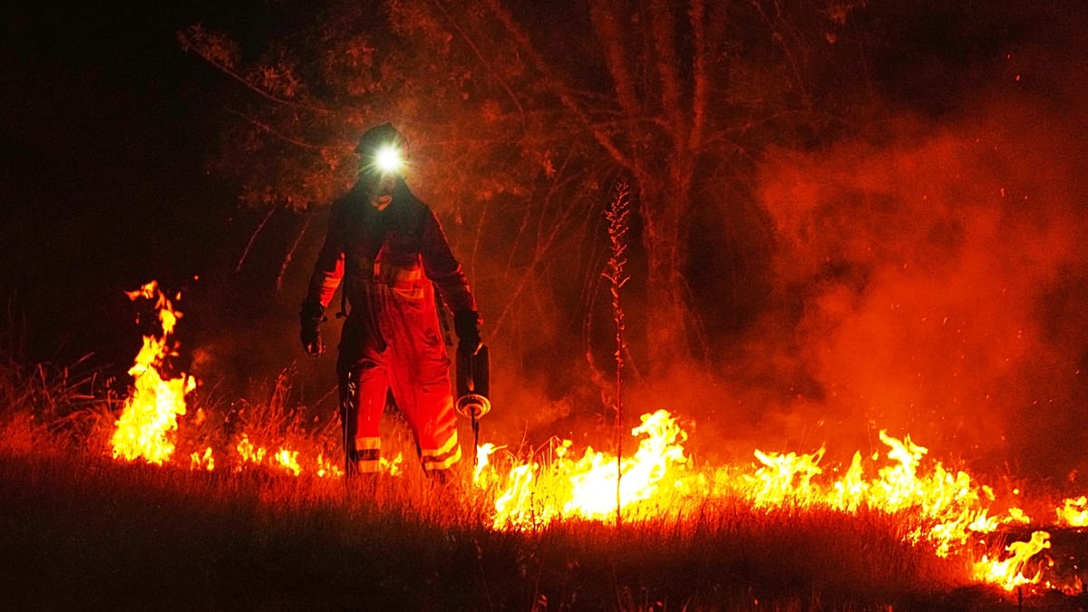 Europe is burning : How bad could this wildfire crisis get?