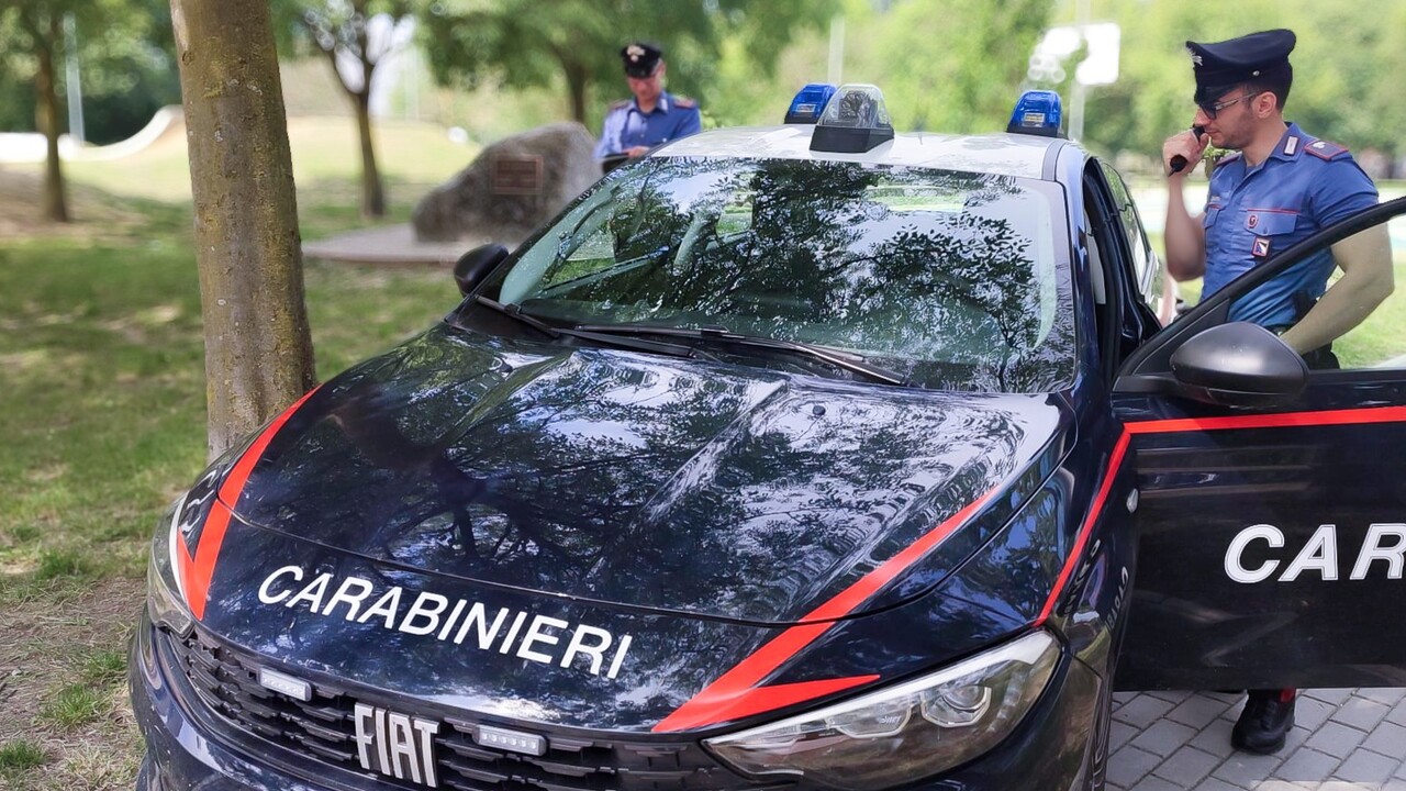 Caldo, giardiniere 46enne muore per un malore mentre lavora nel Bolognese - Ultima ora - Ansa.it